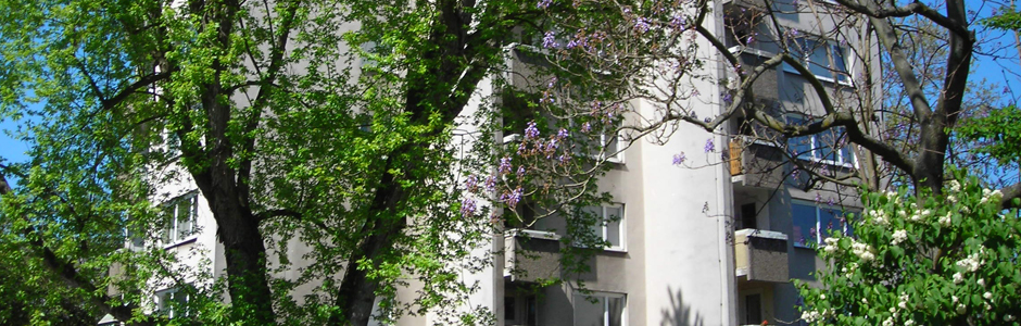 Link zur Homepage
