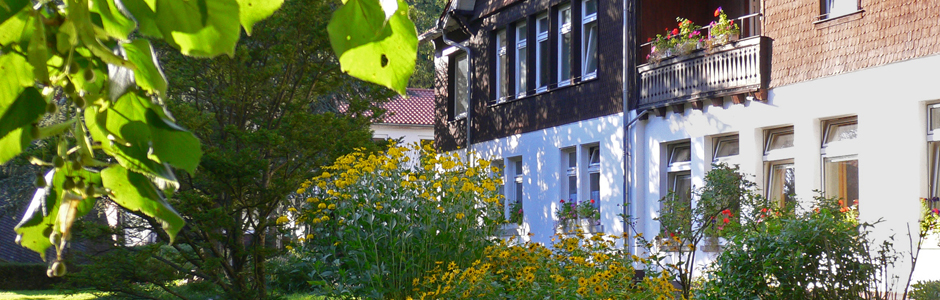 Link zur Homepage